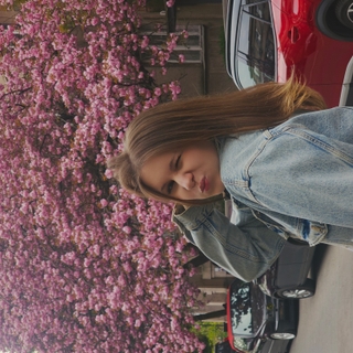 Карінка Дан